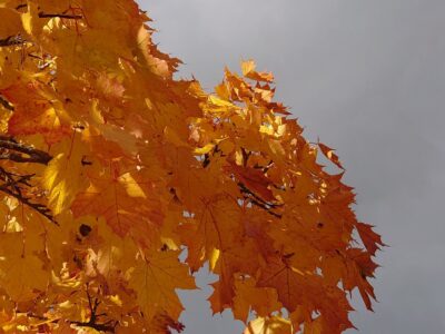 Herbstfarben